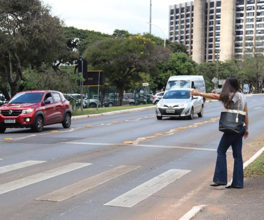 Brasília celebra 29 anos de respeito ao pedestre na faixa com redução de 70,7% em atropelamentos