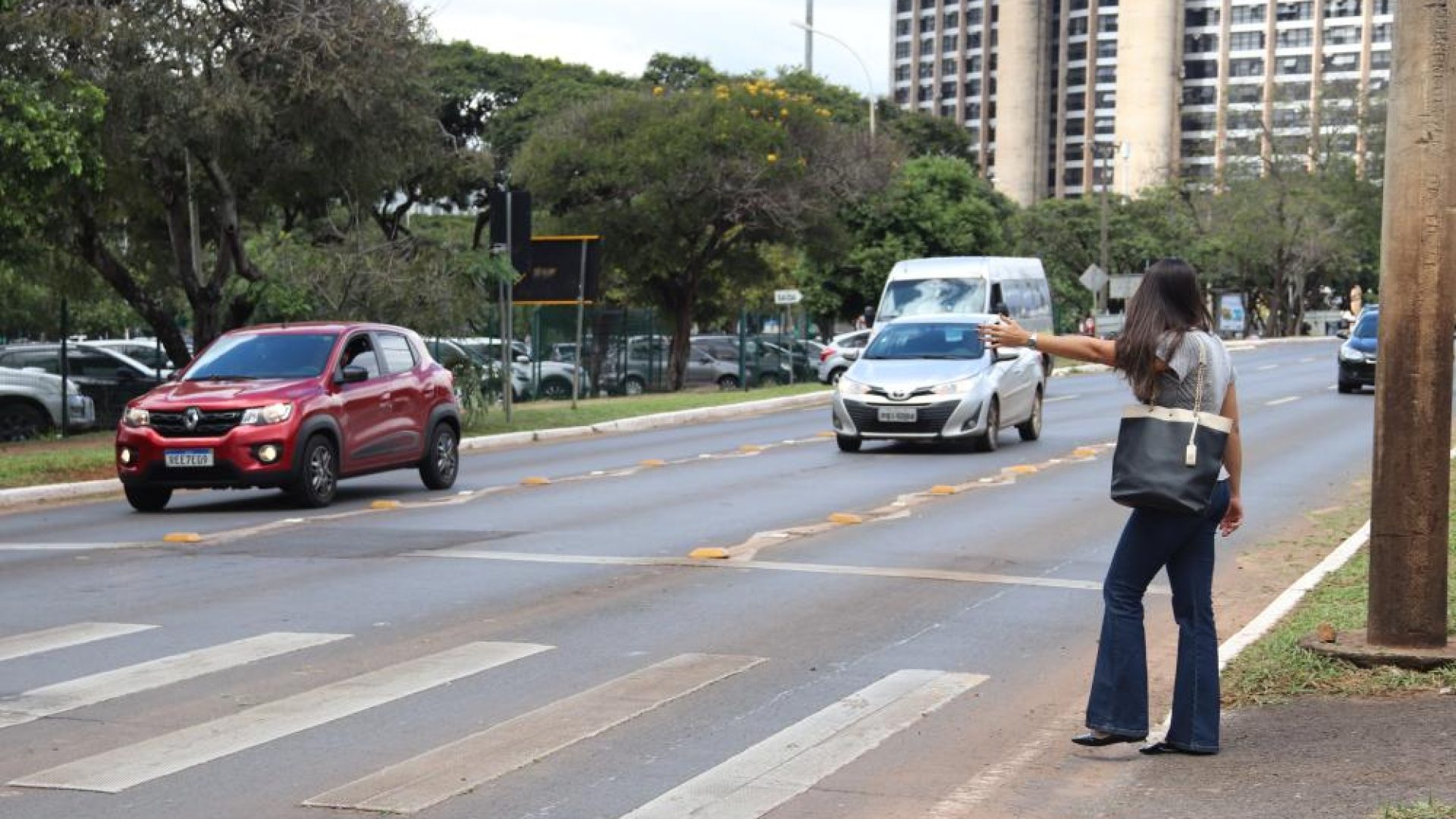 Brasília celebra 29 anos de respeito ao pedestre na faixa com redução de 70,7% em atropelamentos