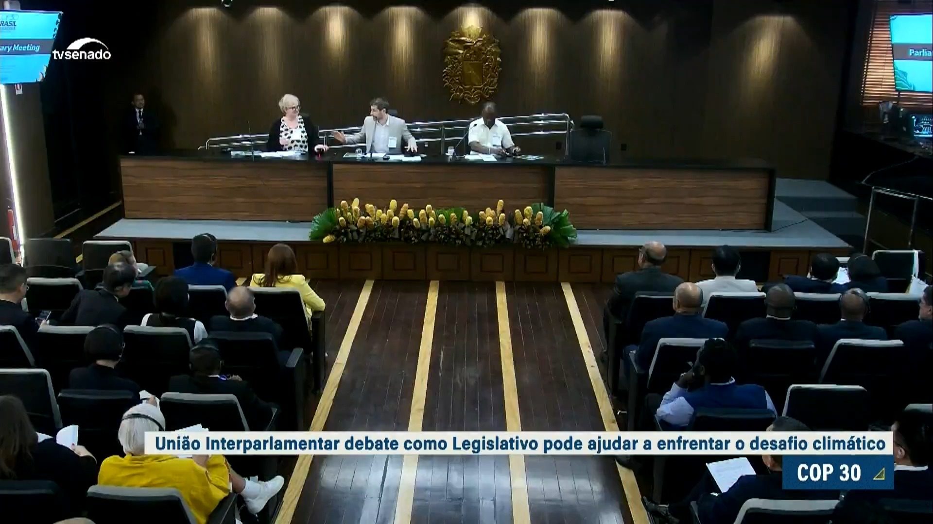 União Interparlamentar oferece contribuições do Legislativo para enfrentar mudanças climáticas — Senado Notícias
