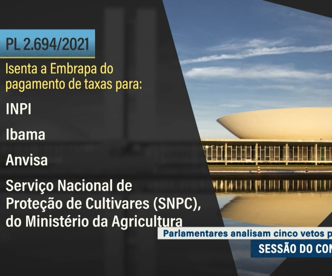 Exame toxicológico será obrigatório na primeira CNH — Senado Notícias