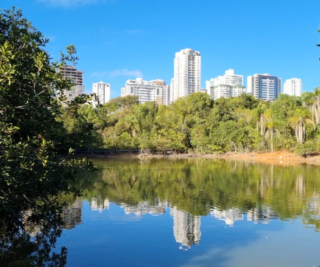 Instituto remove 57 comedouros de parque em Águas Claras para proteger fauna