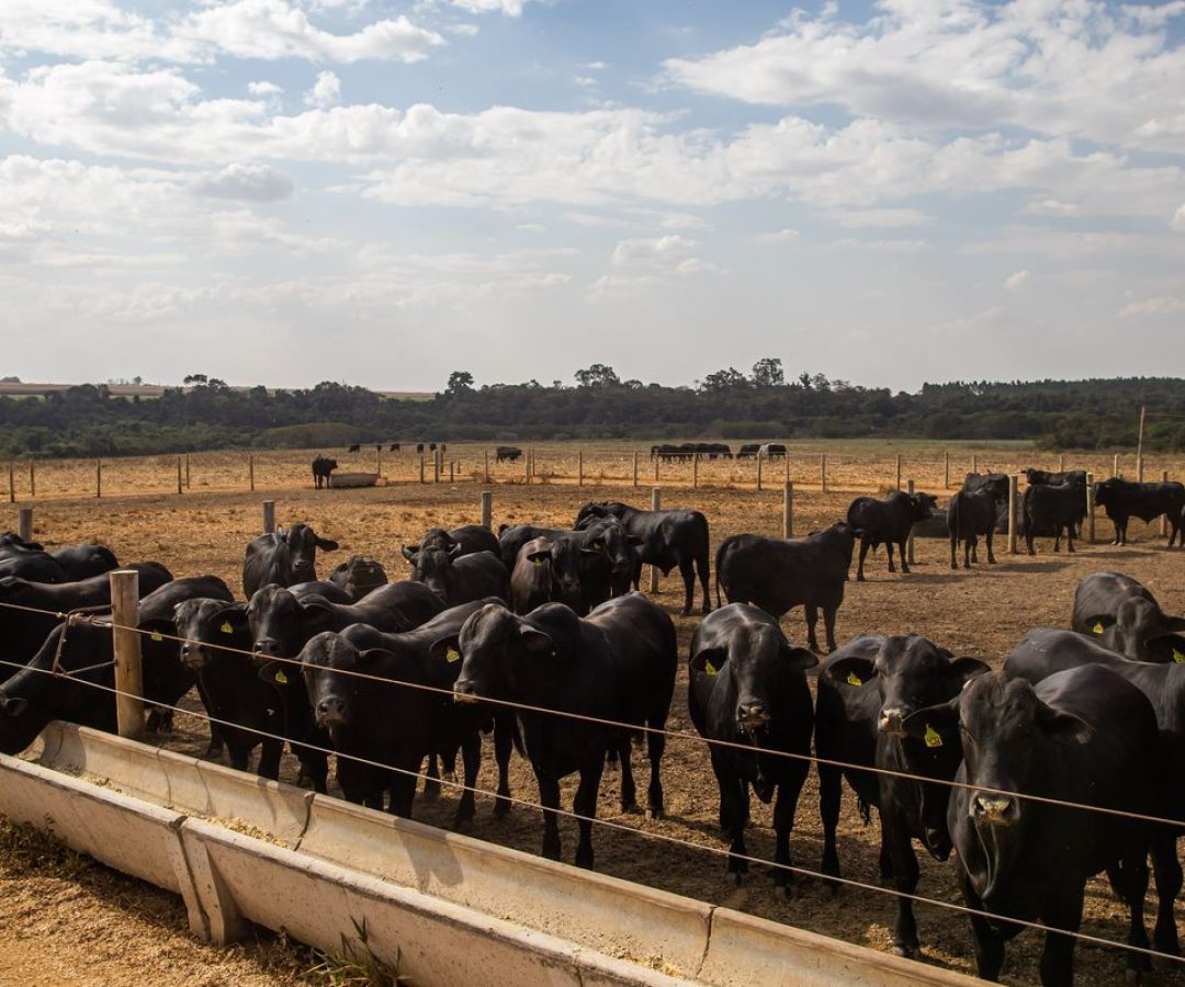 Atividade econômica brasileira cresce 2,5% em 2025