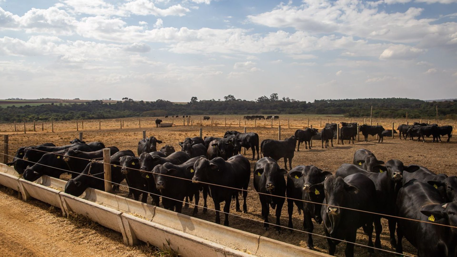 Atividade econômica brasileira cresce 2,5% em 2025