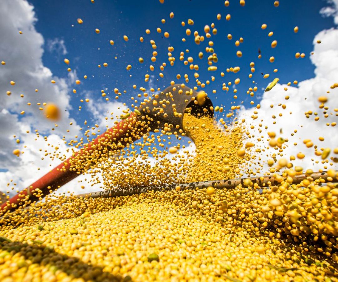 Produção agrícola brasileira superou R$ 927 bilhões em 2025