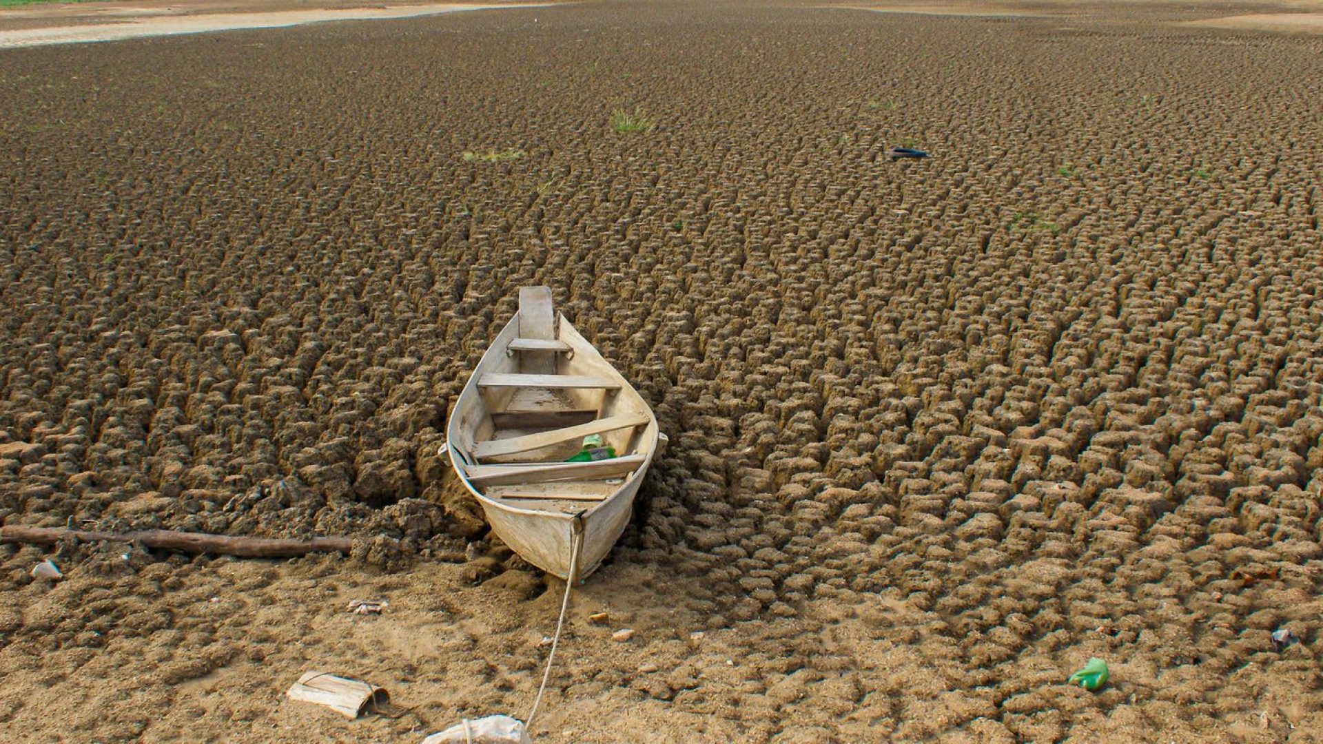 Brasil promete restaurar 163 mil km² de terras degradadas até 2030 