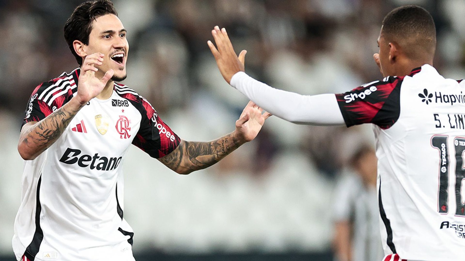 Brasileirão: Flamengo vence e mantém Botafogo na zona de rebaixamento