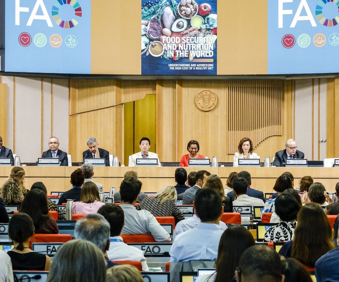 Brasil continua fora do Mapa da Fome, aponta relatório da ONU