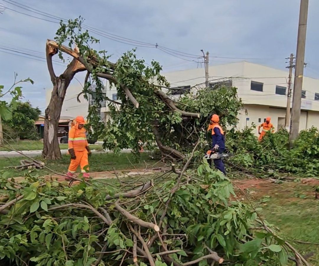 Mutirão atua para amenizar os impactos da chuva no Riacho Fundo II