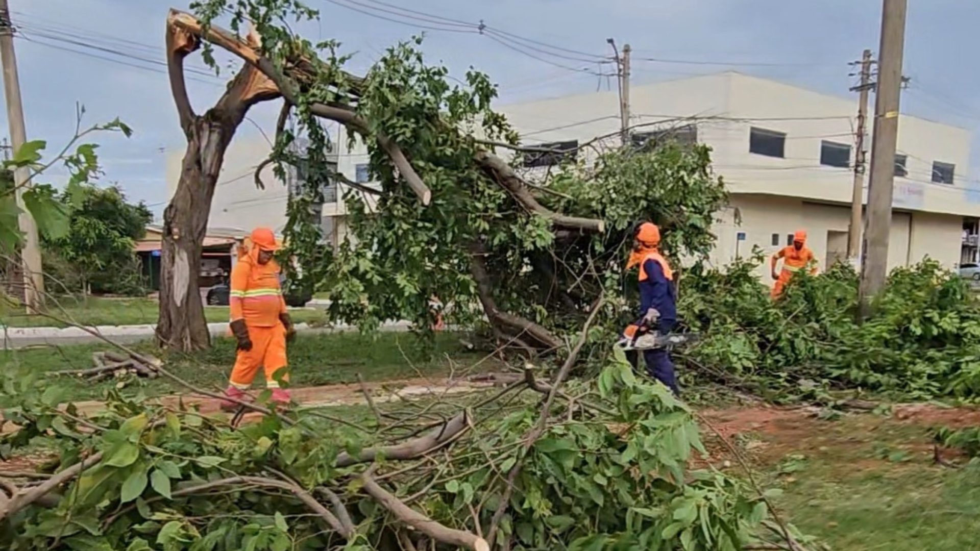 Mutirão atua para amenizar os impactos da chuva no Riacho Fundo II
