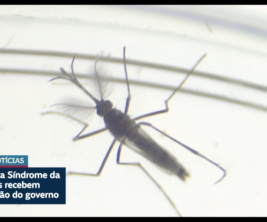 Vítimas de zika vírus recebem indenização do governo — Senado Notícias