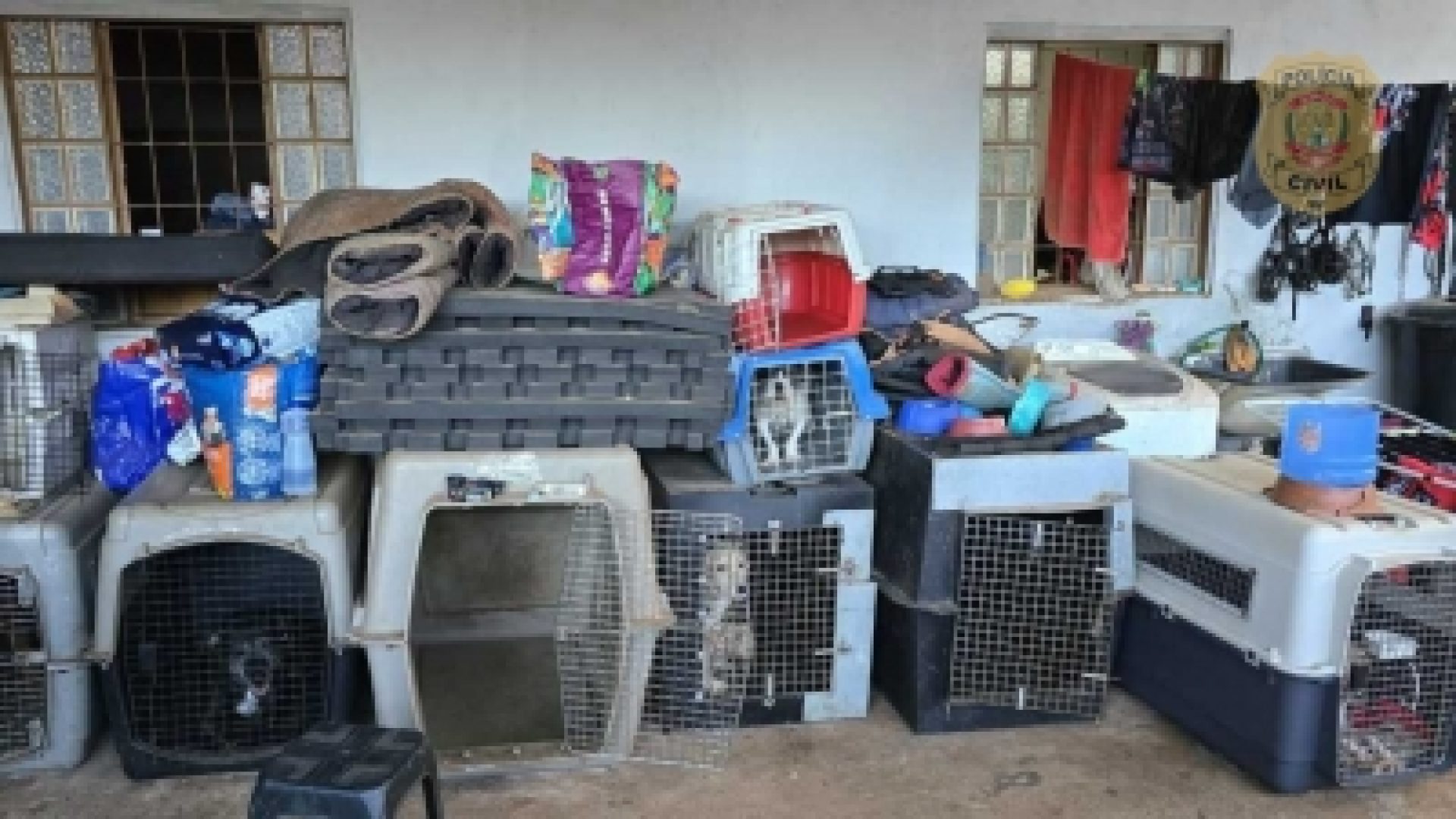 PCDF prende adestrador que mantinha cães confinados em caixas sem água e alimento
