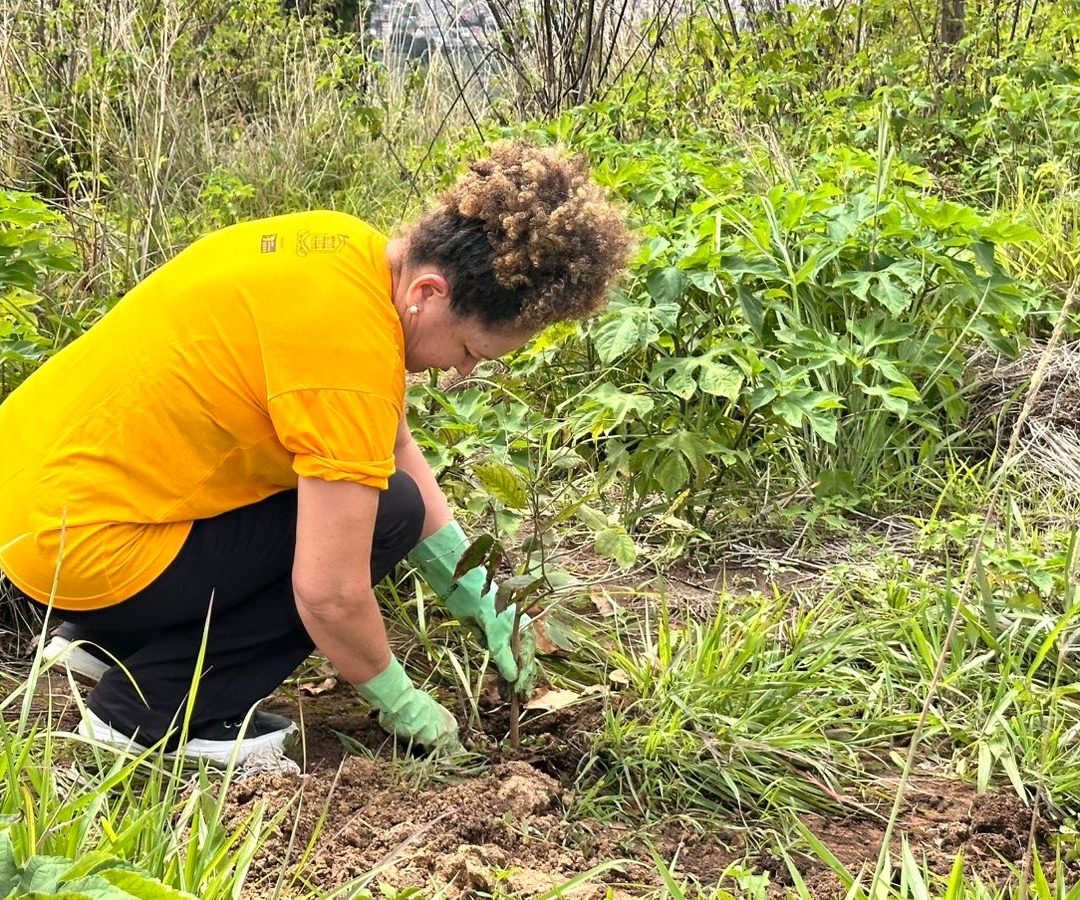 Ceilândia celebra Dia de Mudas com o plantio de 500 árvores nativas do Cerrado