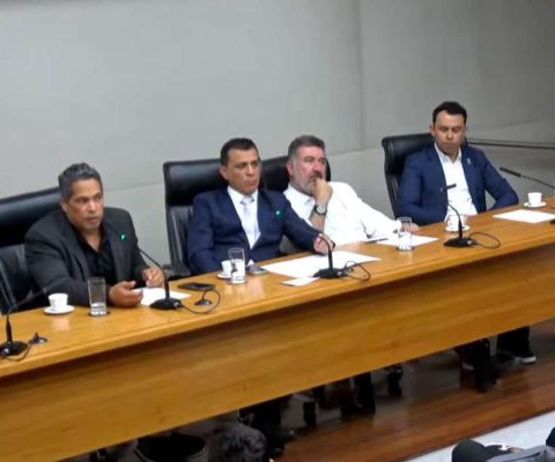 Em audiência pública, fotógrafos pedem regulamentação para atuar em parques do DF