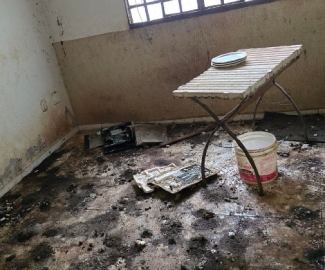 PCDF resgata idoso durante averiguação de denúncia sobre maus-tratos a animais