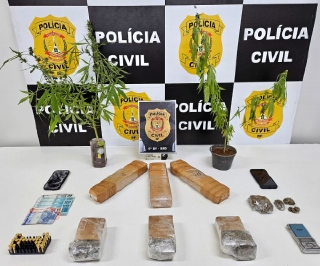 Operação Hide and Seek: 6ª DP prende dupla por tráfico de droga