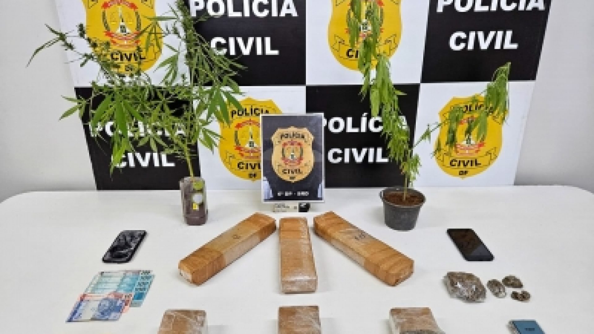 Operação Hide and Seek: 6ª DP prende dupla por tráfico de droga