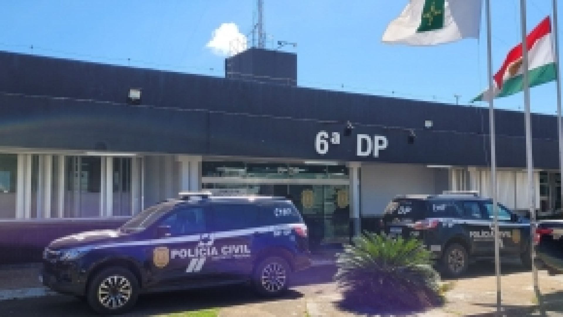  PCDF prende 113 suspeitos de tráfico de drogas no DF