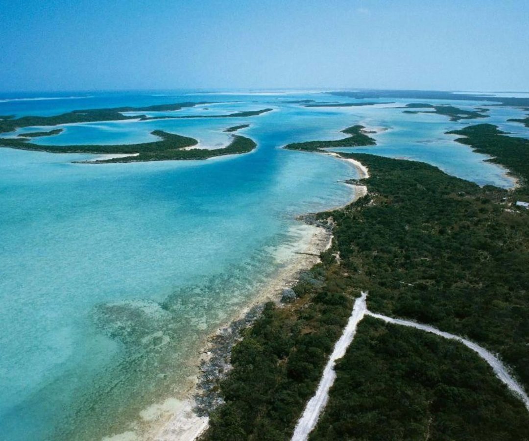 Festa milionária em ilha particular e gorjetas generosas: a vida nababesca de Daniel Vorcaro  -  (crédito: Getty Images)