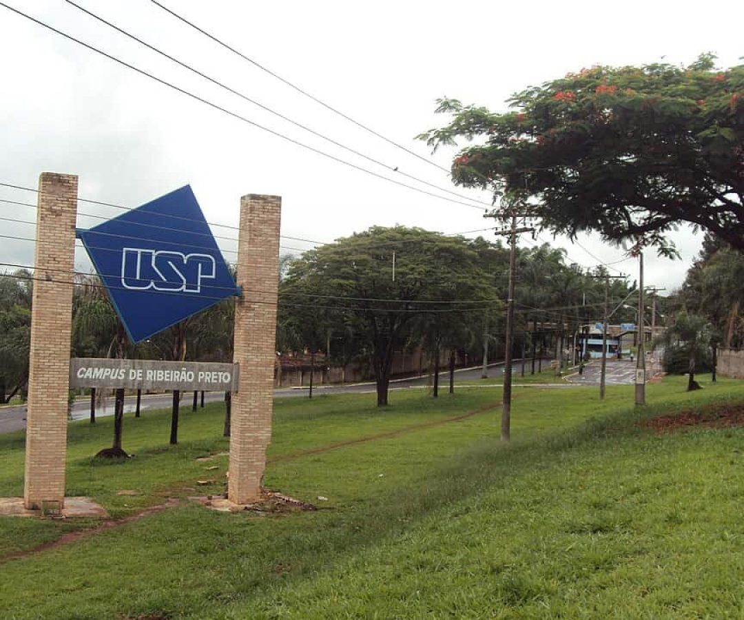 USP abre inscrições para quatro cursos gratuitos 100% online