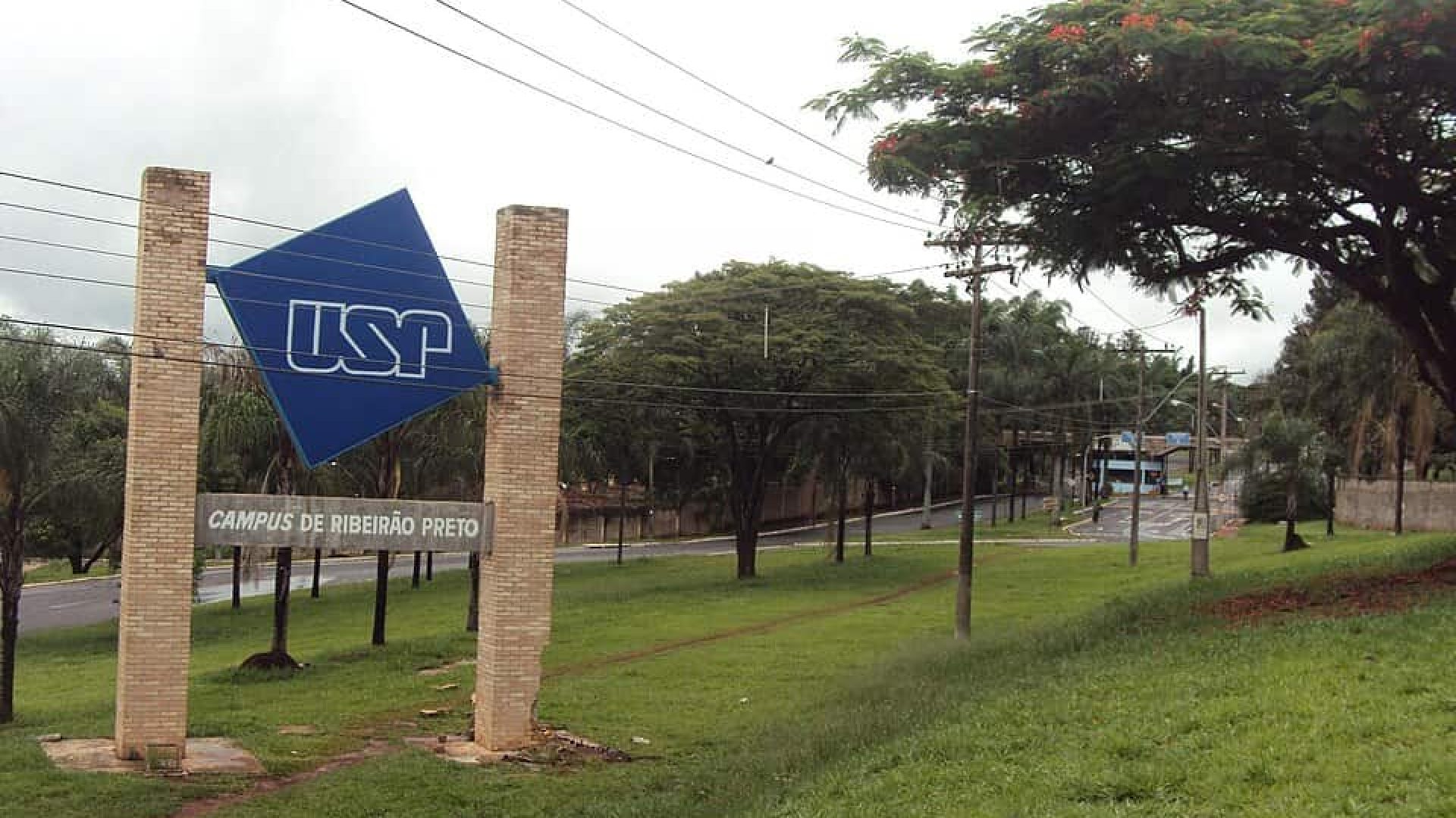 USP abre inscrições para quatro cursos gratuitos 100% online