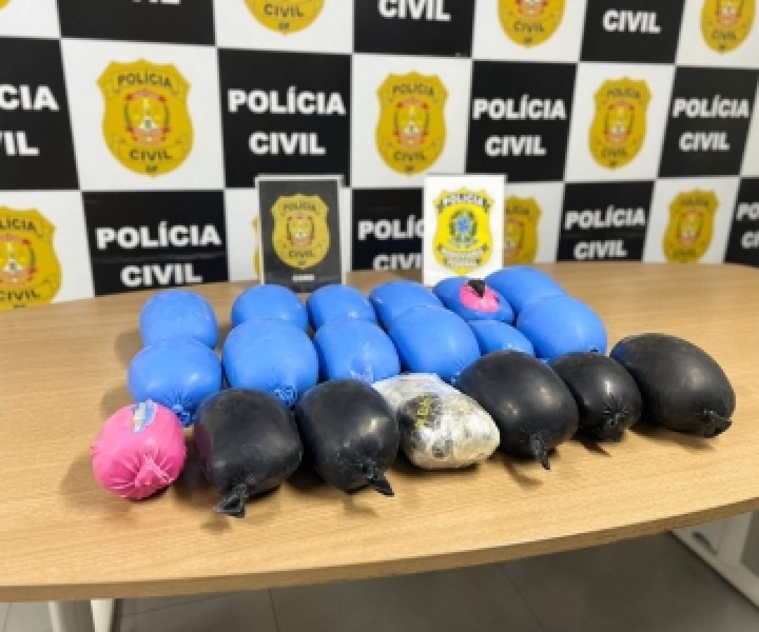 PCDF realiza ação conjunta e apreende 30 kg de haxixe e skunk avaliados em R$ 1 milhão