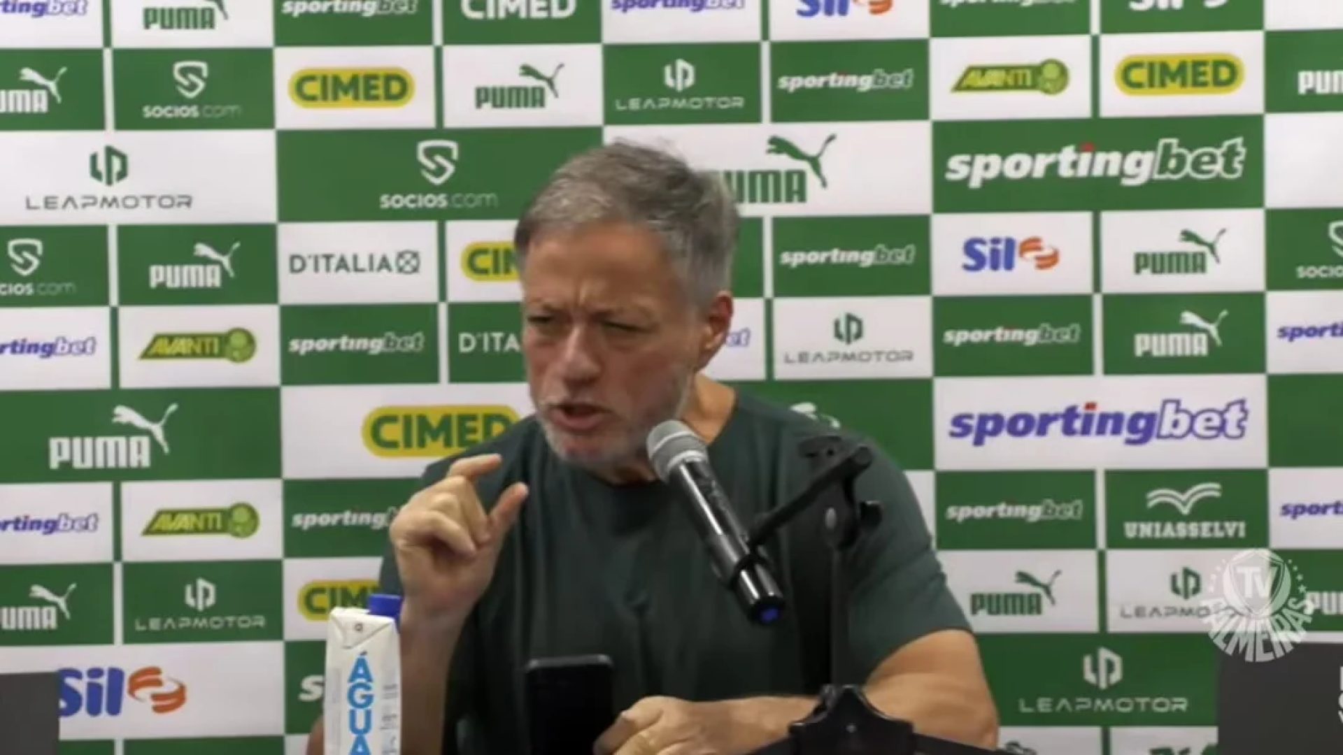 Reprodução/TV Palmeiras