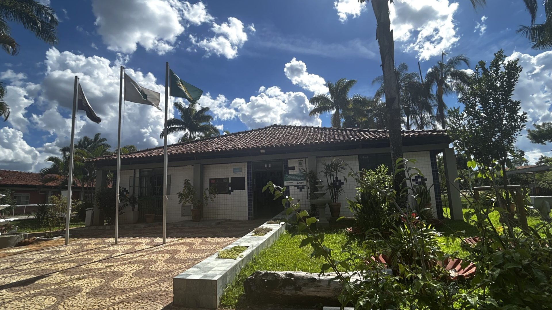 Campanha “Café com Leite” mobiliza solidariedade para garantir cuidado diário a idosos no DF