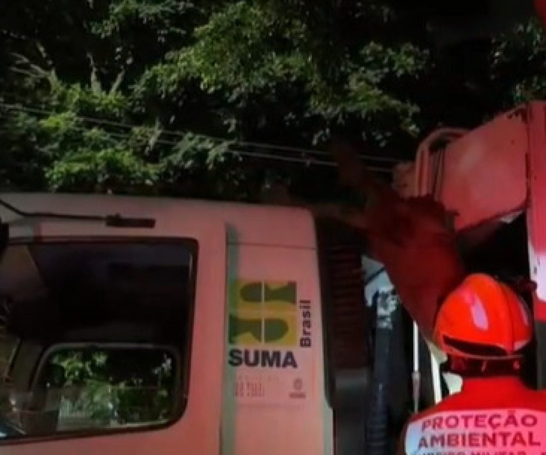 Galho de árvore atinge caminhão de lixo e mobiliza Bombeiros no Gama