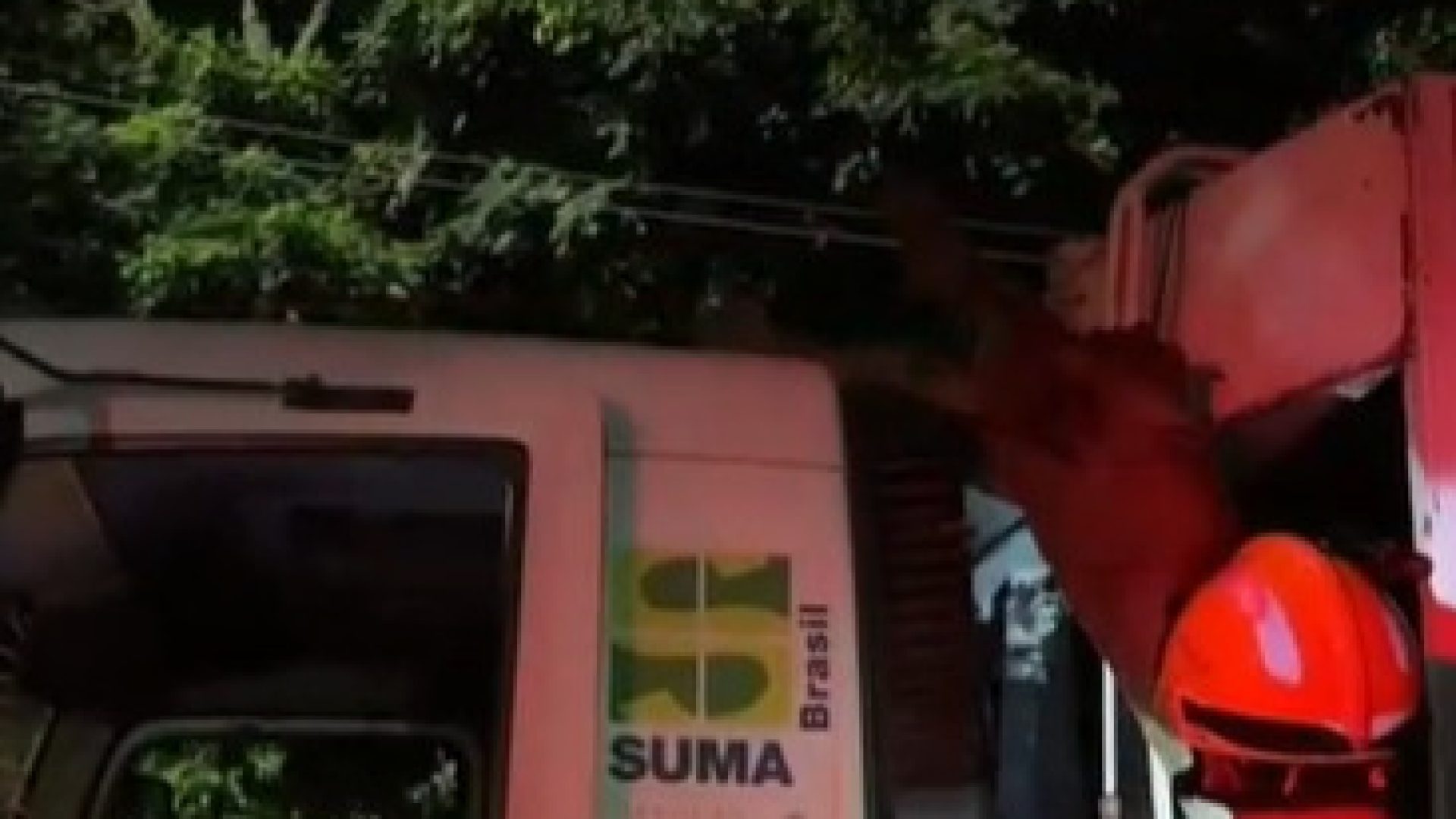 Galho de árvore atinge caminhão de lixo e mobiliza Bombeiros no Gama