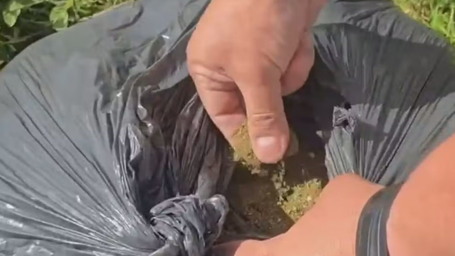 Garis encontram 30 kg de maconha em saco de lixo em Ceilândia