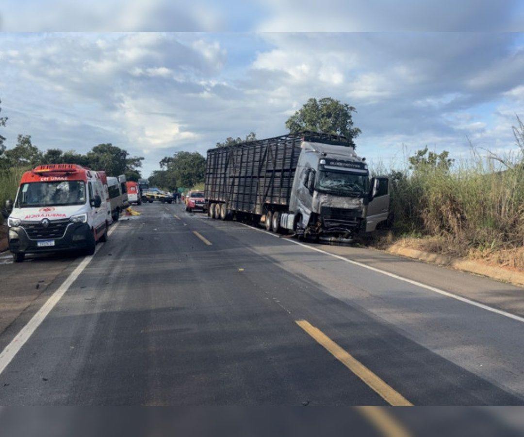 Acidente na BR-020 deixa ao menos oito mortos e seis feridos no Entorno do DF