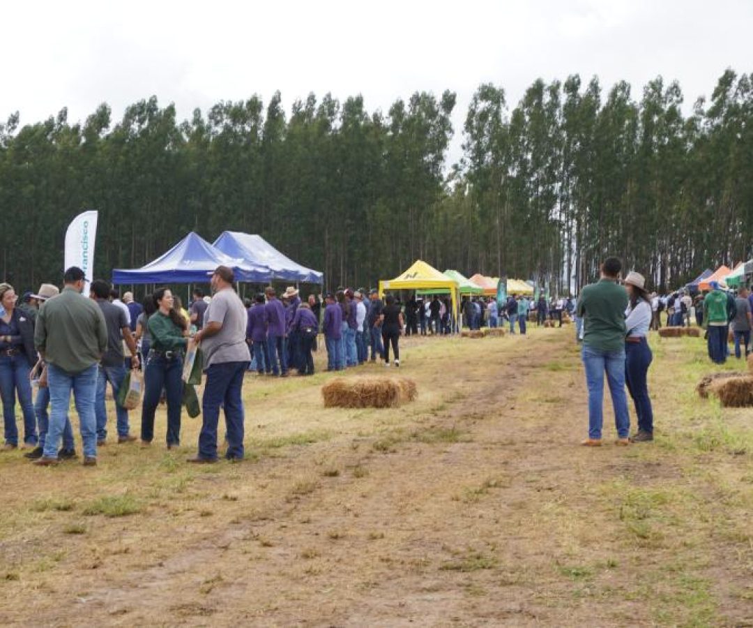 AgroBrasília promove Dia de Campo de Soja com mais de 600 participantes