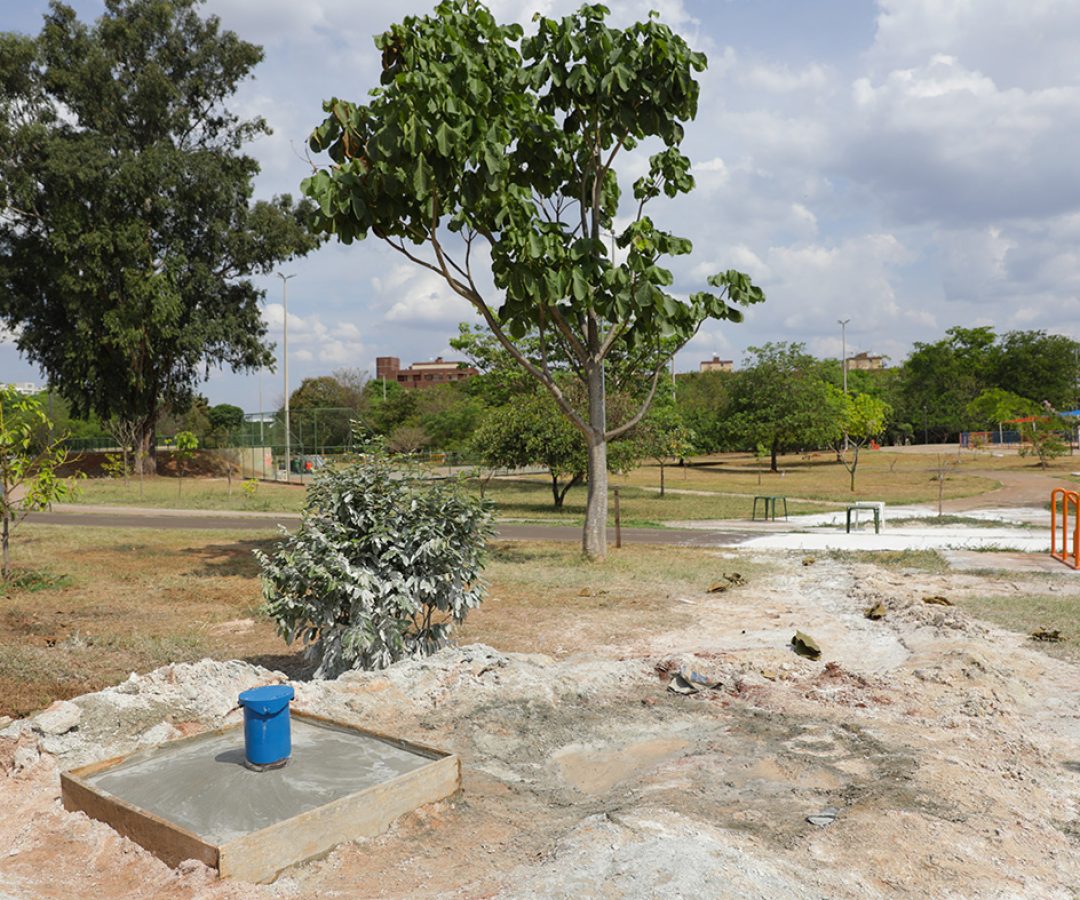Parque Bosque do Sudoeste recebe novos banheiros, espaço de calistenia e mais infraestrutura
