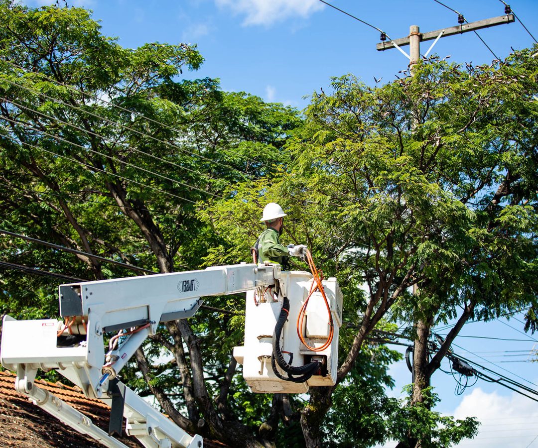 Paranoá e Lago Norte terão interrupção programada de energia nesta segunda-feira (22)