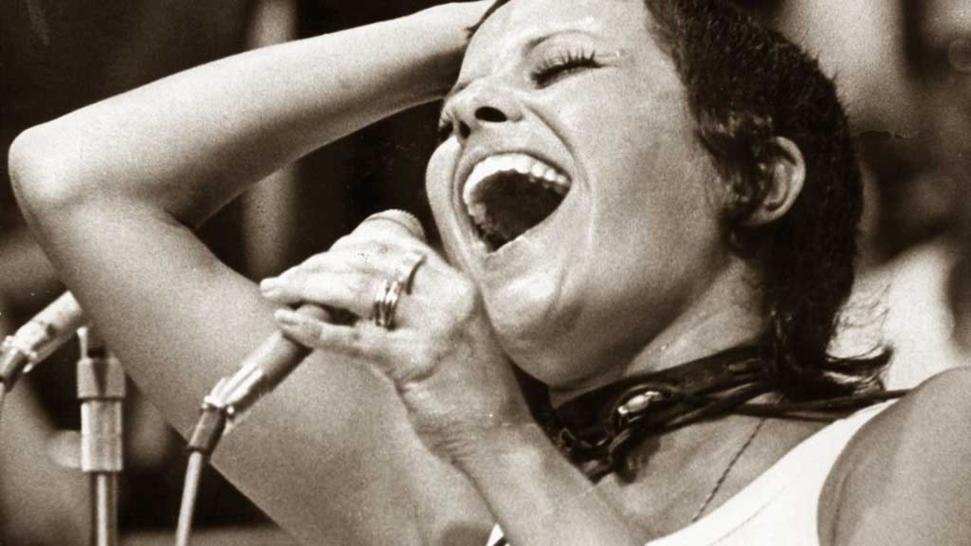 Filho de Elis Regina usa IA para restaurar gravações de 1976 e prepara álbum