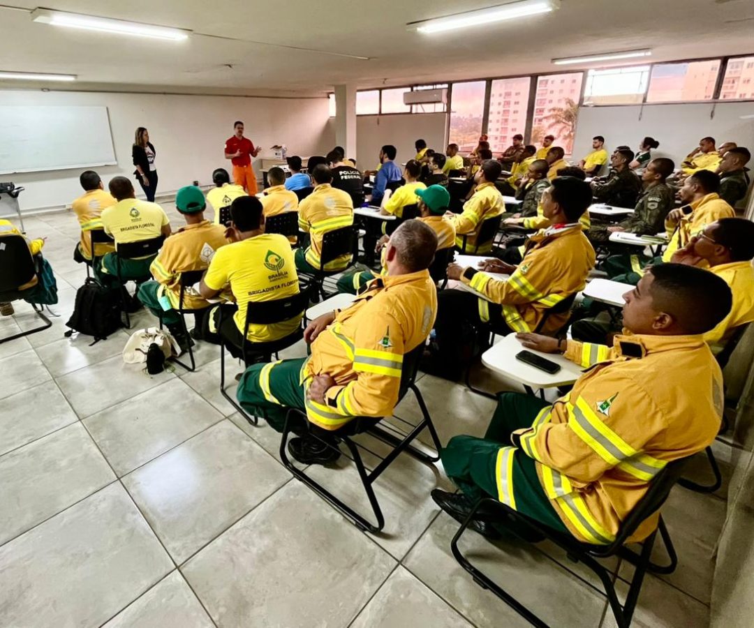 Curso prepara profissionais para resposta rápida a incêndios no Distrito Federal