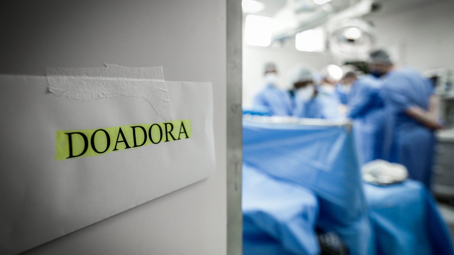 Portaria institui câmaras técnicas para assessorar Central de Transplantes do DF
