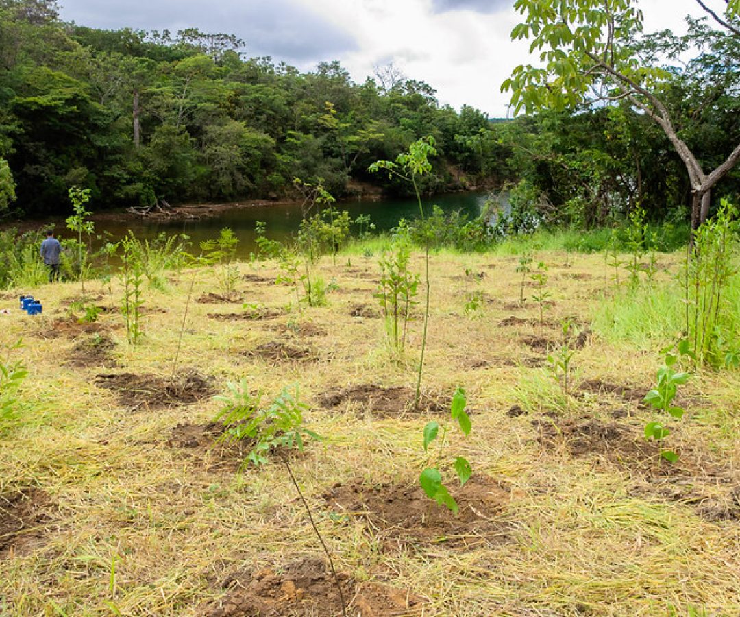 GDF cria Parque Distrital da Serrinha para proteger nascentes no Lago Norte