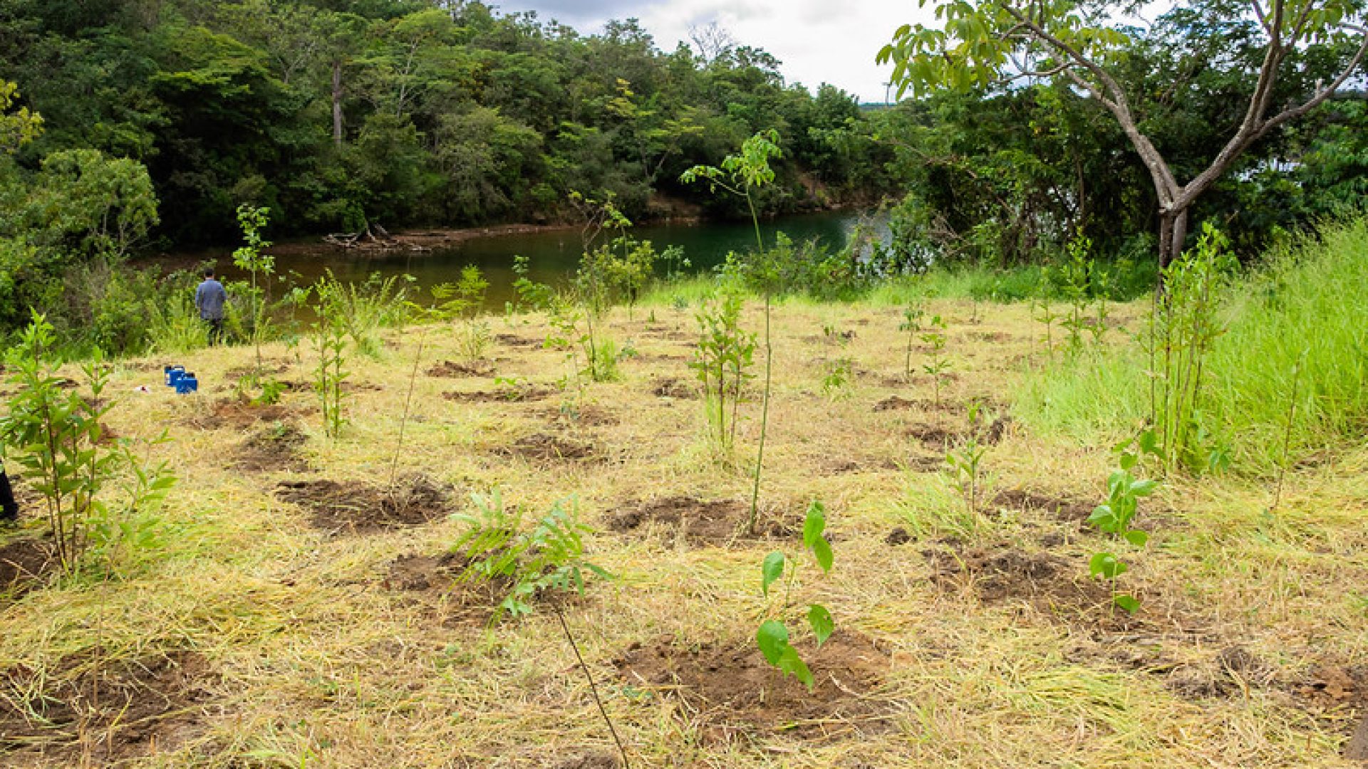 GDF cria Parque Distrital da Serrinha para proteger nascentes no Lago Norte