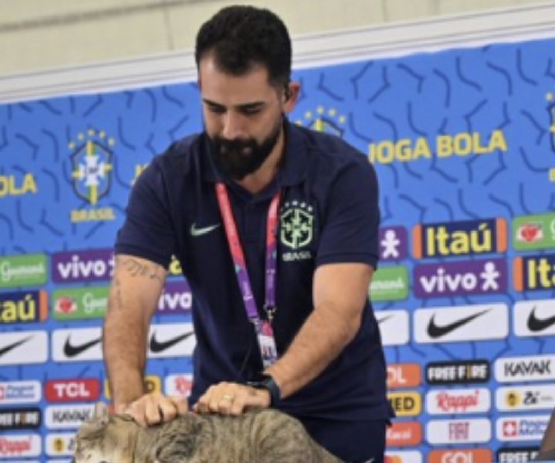 Na busca por culpados pelo vexame da Seleção, redes sociais resgatam a “Maldição do Gato” de 2022