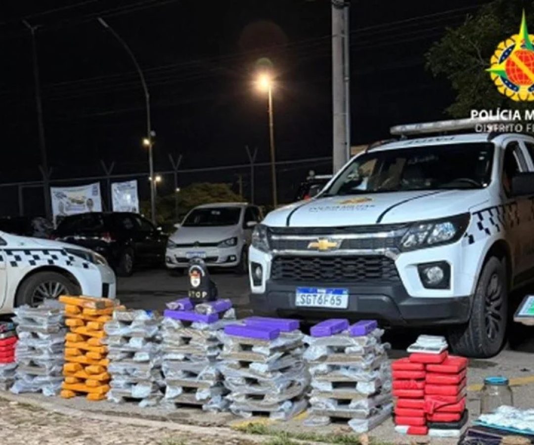 Drogas avaliadas em R$ 1 milhão são apreendidas no Recanto das Emas