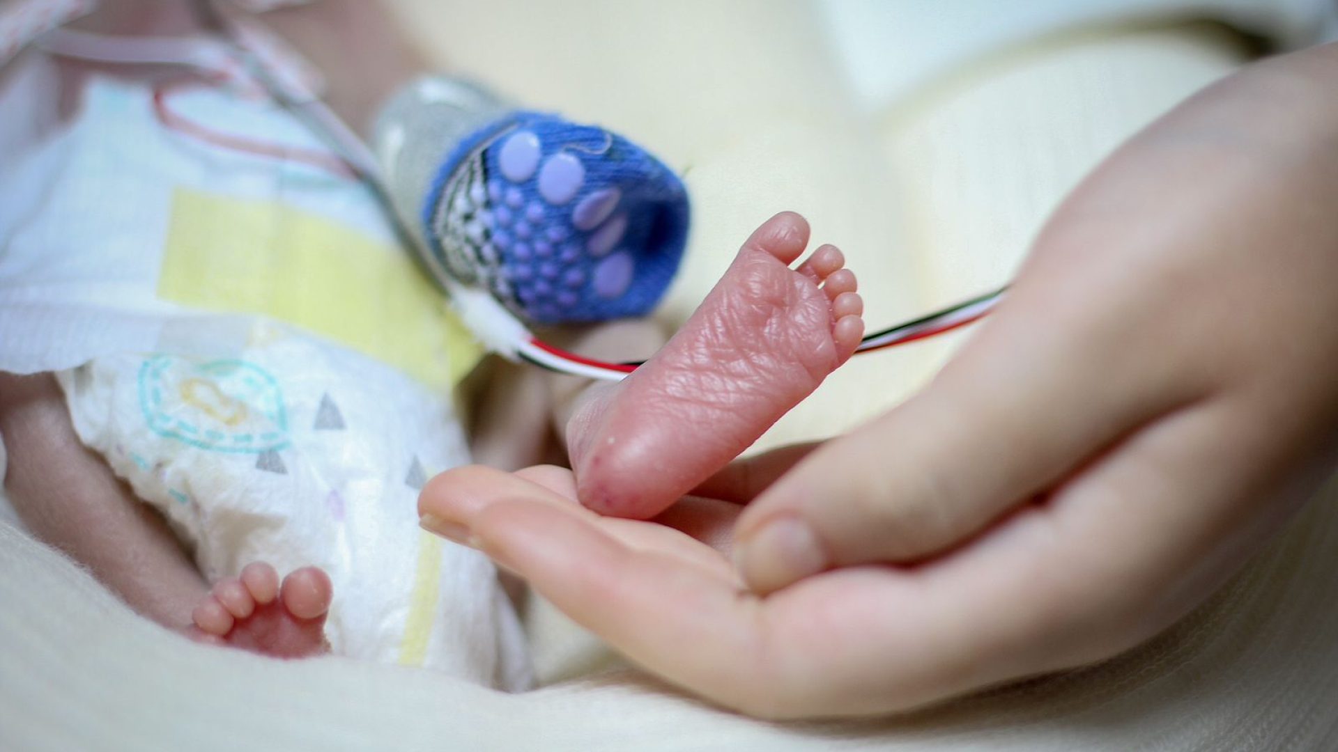 Novembro Roxo reforça a conscientização e a sensibilidade do cuidado neonatal