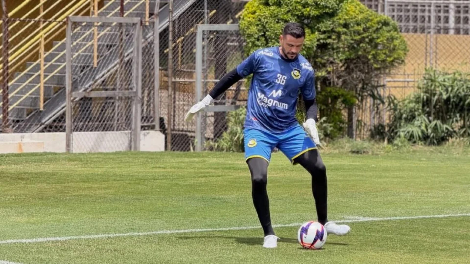 São Bernardo enfrenta Mirassol para se aproximar dos líderes do Paulistão