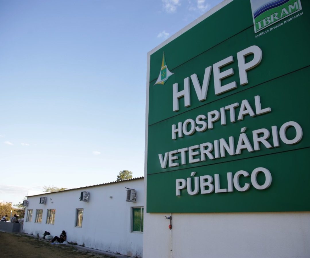 GDF abre chamamento para gestão do serviço veterinário público