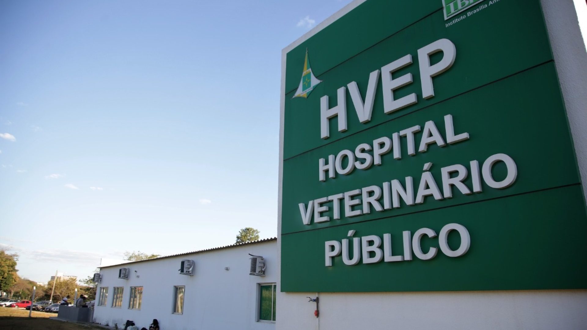 GDF abre chamamento para gestão do serviço veterinário público