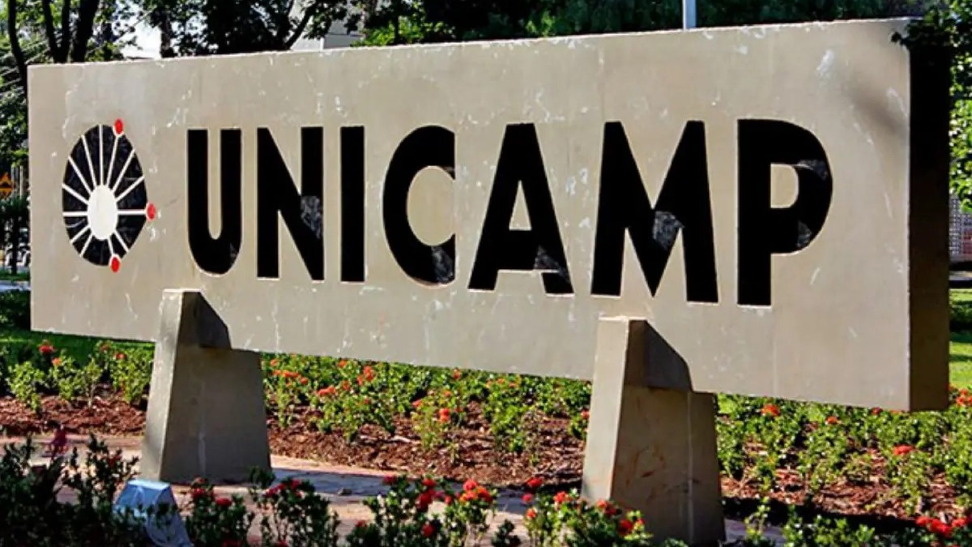 Unicamp abre pedido de isenção do vestibular 2027; veja como solicitar