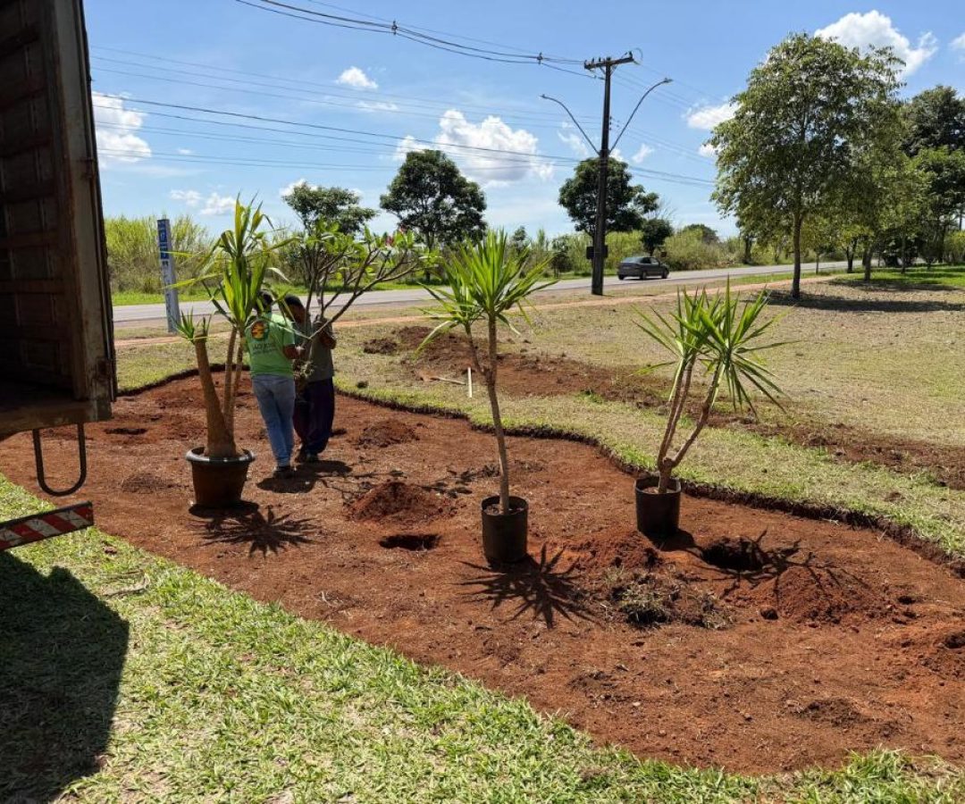 Programa Adote uma Praça chega ao Park Way e fortalece participação da comunidade