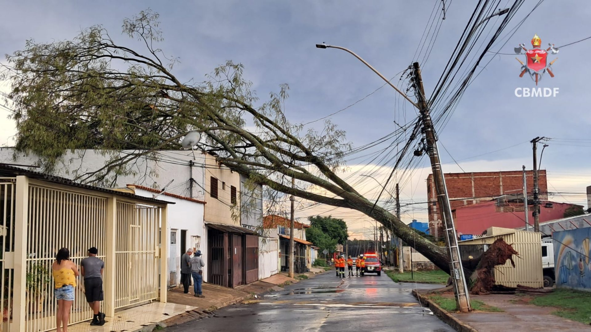 Árvore de grande porte cai sobre casa no Paranoá e mobiliza Corpo de Bombeiros