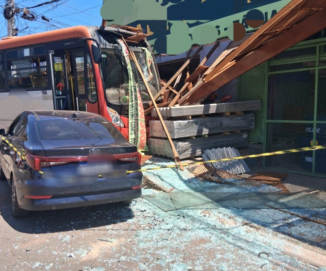 Ônibus atinge fachada de madeireira em São Sebastião