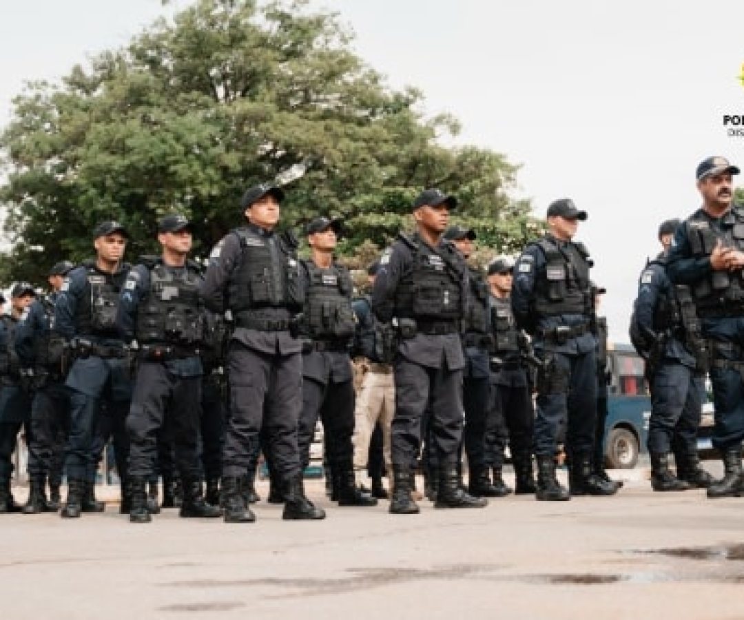 whatsapp image 2025 12 05 at 17.39.21 2